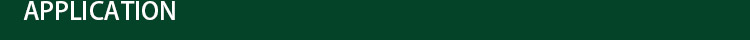 Max 4m Width Customized Length 13GSM Bop Stretched PP Net for Garden Bird Protection