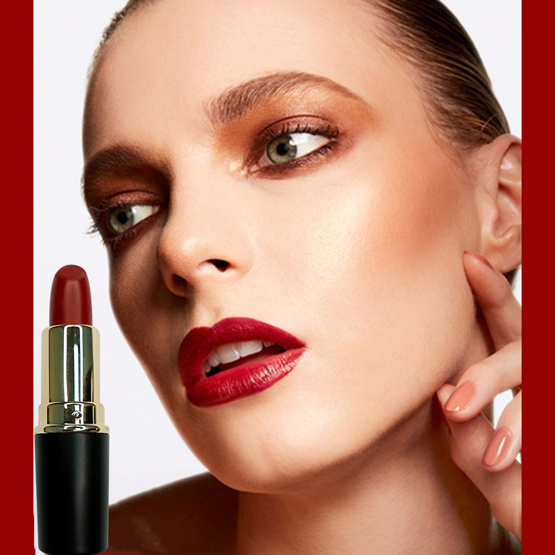 OEM Private Label Waterproof Moisture Lipstick 2.5g 24hrs Long Lasting Lipstick