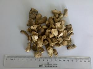 China HACCP Standard Dried Shiitake Mushrooms / Chinese Dried Mushrooms Leg Cubes on sale