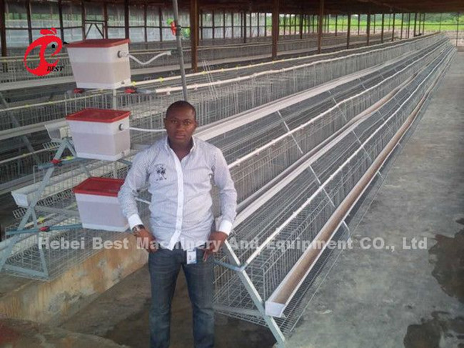 1 Layer 2.8mm Battery Cage System For Layers In Africa Star