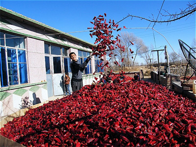 Sanying Dehydrating Hot Peppers Mala Dried Whole Chillies KOSHER