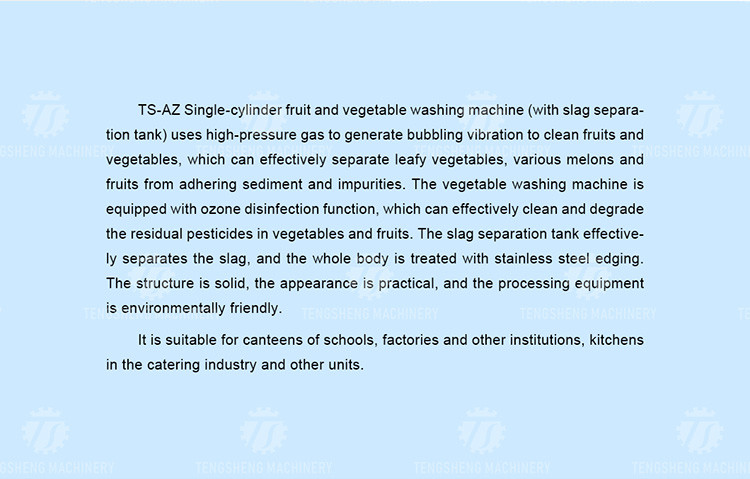 85KG Small commercial bubble cleaning machine single cylinder cleaning fruit and vegetable processing bubble washing
