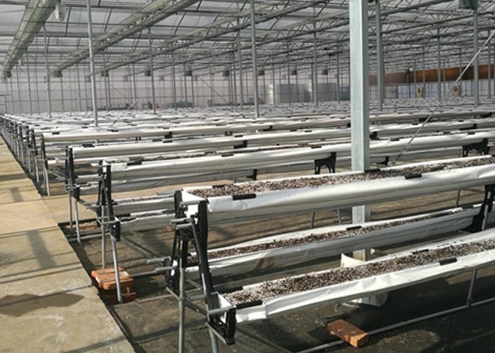 Retractable Solar PV System Single Span Greenhouse Galvanized Mg - Zn Plating