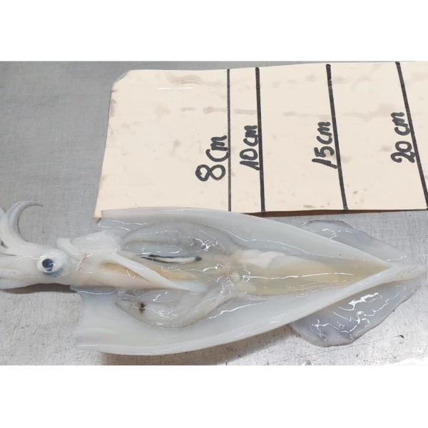 Bqf Dried Seafood Loligo Chinensis Bqf Brc 24 Months Shelf Time