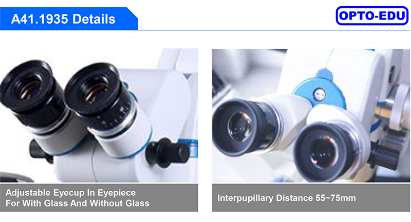 Dual Head Motor Operating Microscope Ophthalmology Zoom 4.5x~27.3x A41.1935