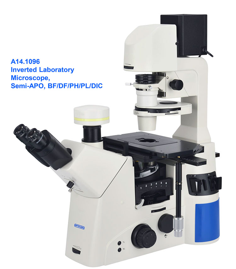 OPTO EDU A14.1096 Laboratory 22mm Inverted Fluorescence Microscope