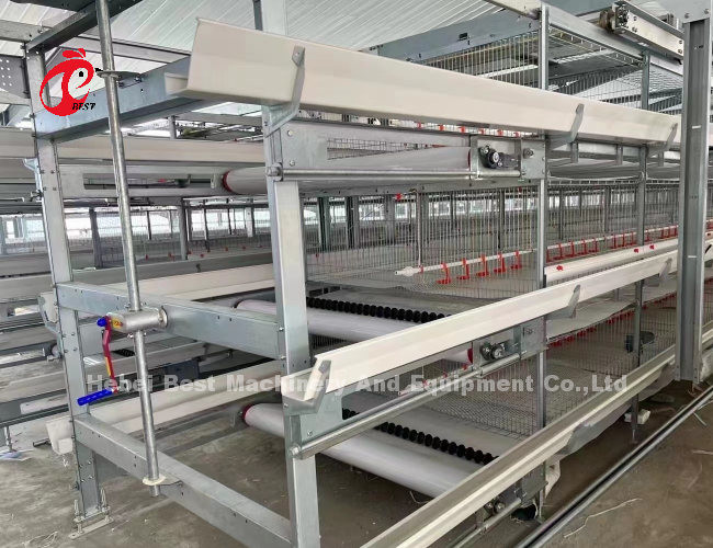 Poultry Farm Automatic Baby Broiler Battery Cage System Rose