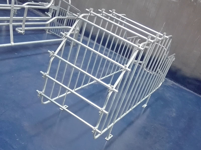 Anti Rust Swine Breeding Equipment For Sow Finishing / Weaning / Farrowing / Gestation