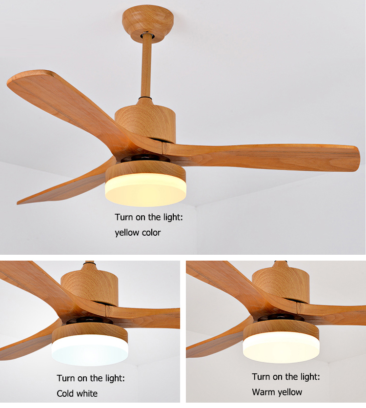 52 Inch Luxury Household Ceiling Fan with Light and Remote Control AC Copper Motor