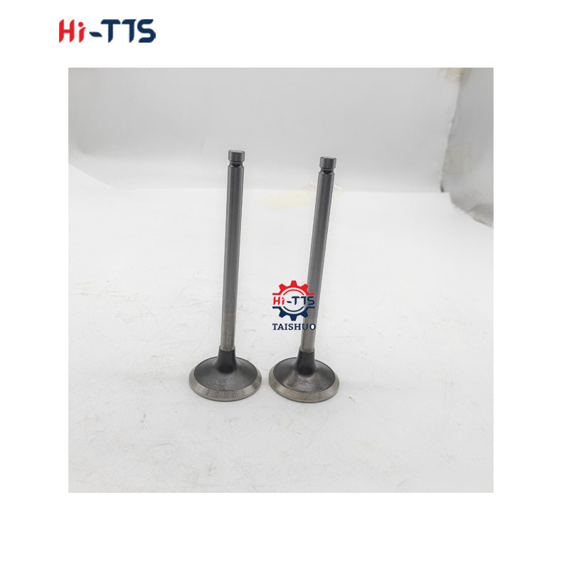 6BT 4BT Diesel Engine Spare Parts Inlet Valve 3901117 3920867 3920868
