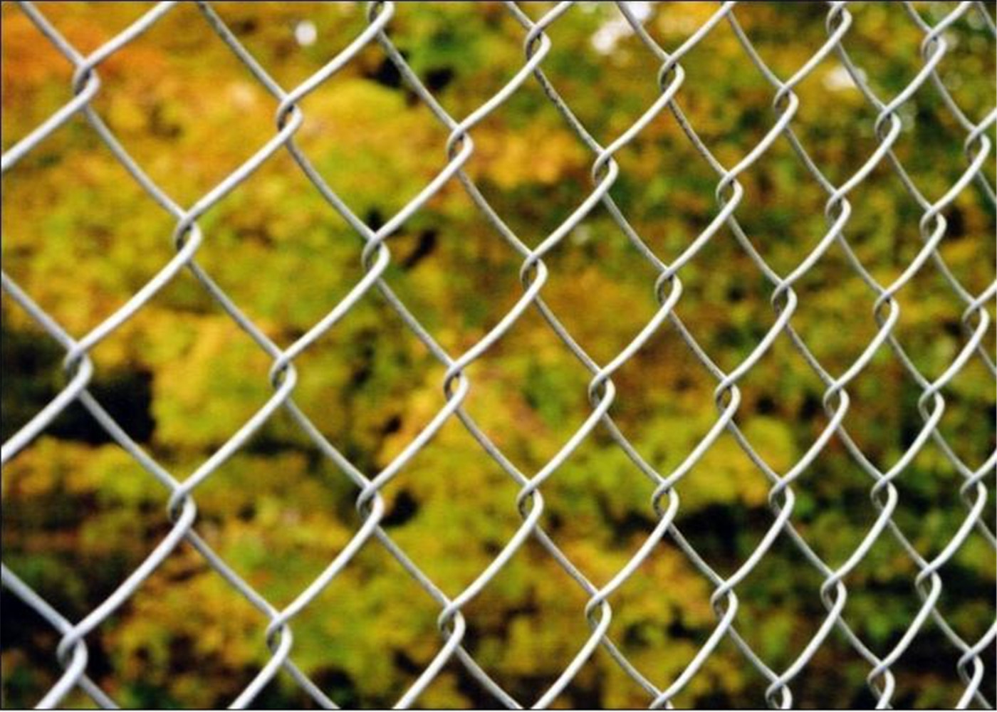 Hot Dipped Galvanized Chain Wire Fence for sale