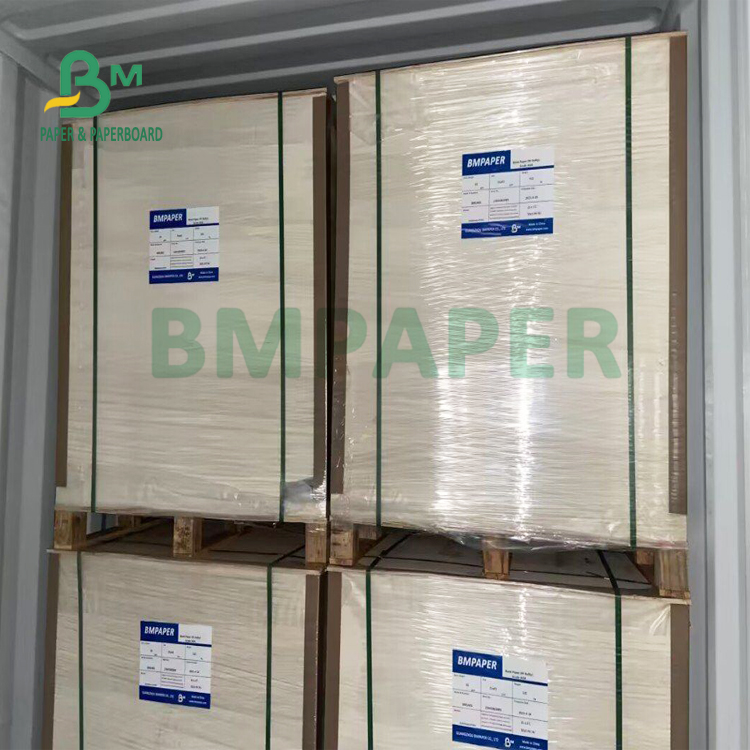 8pt 10pt High Rigidity C2S Gloss Text Board For High Class Artwork 660mm X 990mm