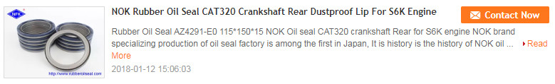 CFW SIMRIT High Pressure Skeleton Oil Seal Full Size For Hydraulic Pump