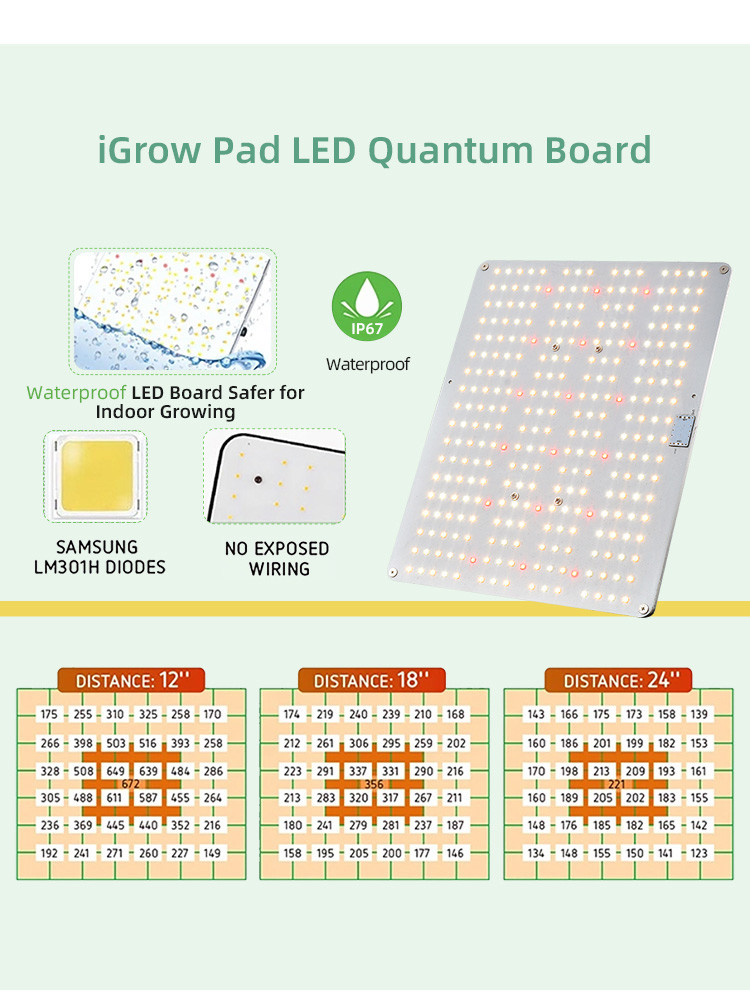 240W Full Spectrum LED Grow Lights
