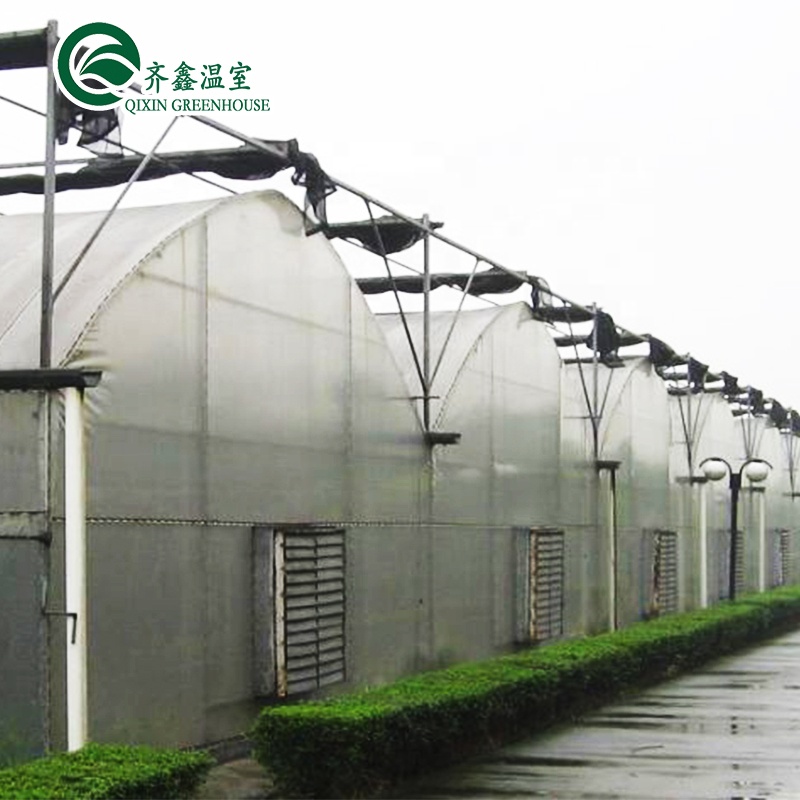 Multi-Span Greenhouse Film Customized for UV Protection and Optimal Growing Conditions