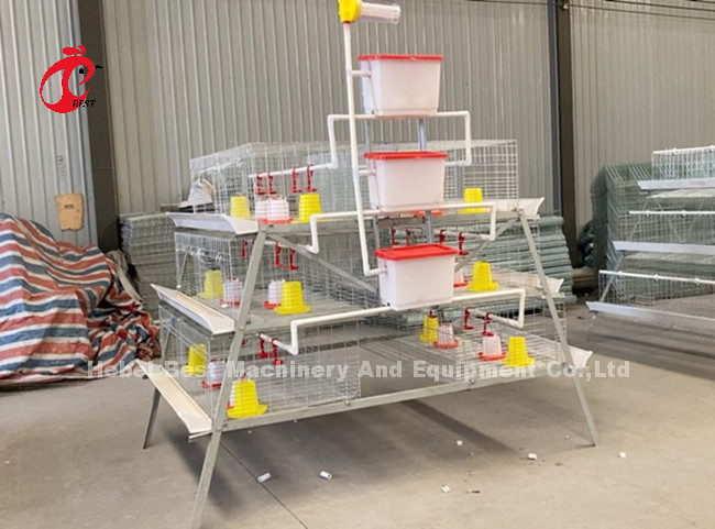 A And H Poultry Broiler Cage Raising Equipment For Day Old Chicks Sandy