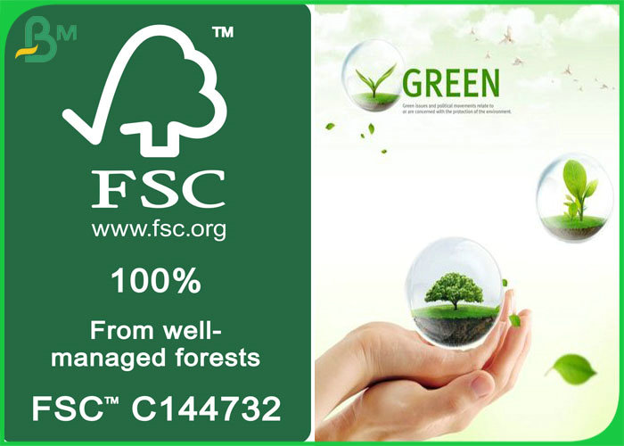 FDA Approved Food Grade Glossy MF MG Kraft Paper in Reels 30gsm to 40gram 