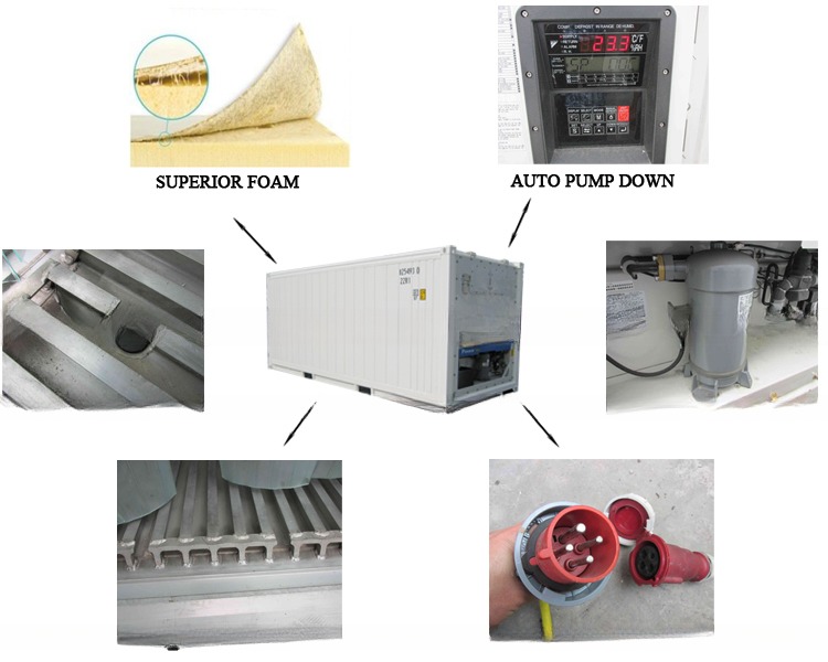 Customized Dimension 23ft BV Certified Refrigerator Storage Container -30- 30C Temperature Range 380/440V