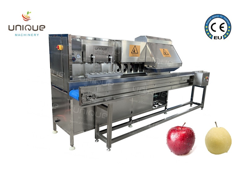 Customized Voltage 304 Stainless Steel Apple and Pear Peeling and Coring Cutting Machine
