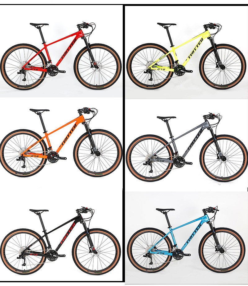 29er LEOPARDpro Carbon Fiber Mountain Bike RETROSPEC 30 Speed Groupset ZOOM Hydraulic Brake