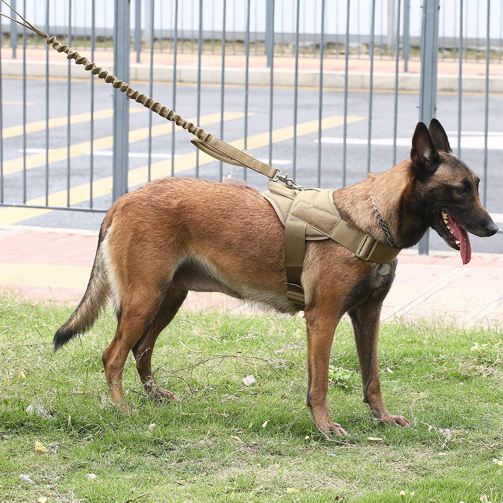 Black Personalized Tactical Dog Harness 90cm 1000D Nylon