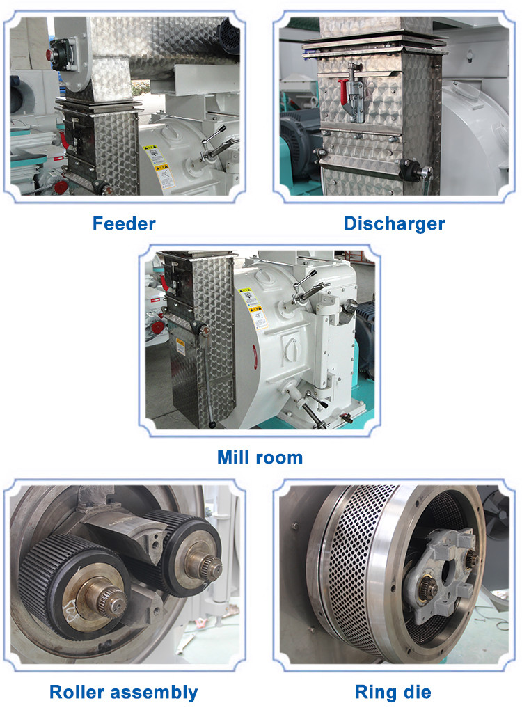 Stainless Steel Animal Feed Pellet Machine Automatic 15-25tph