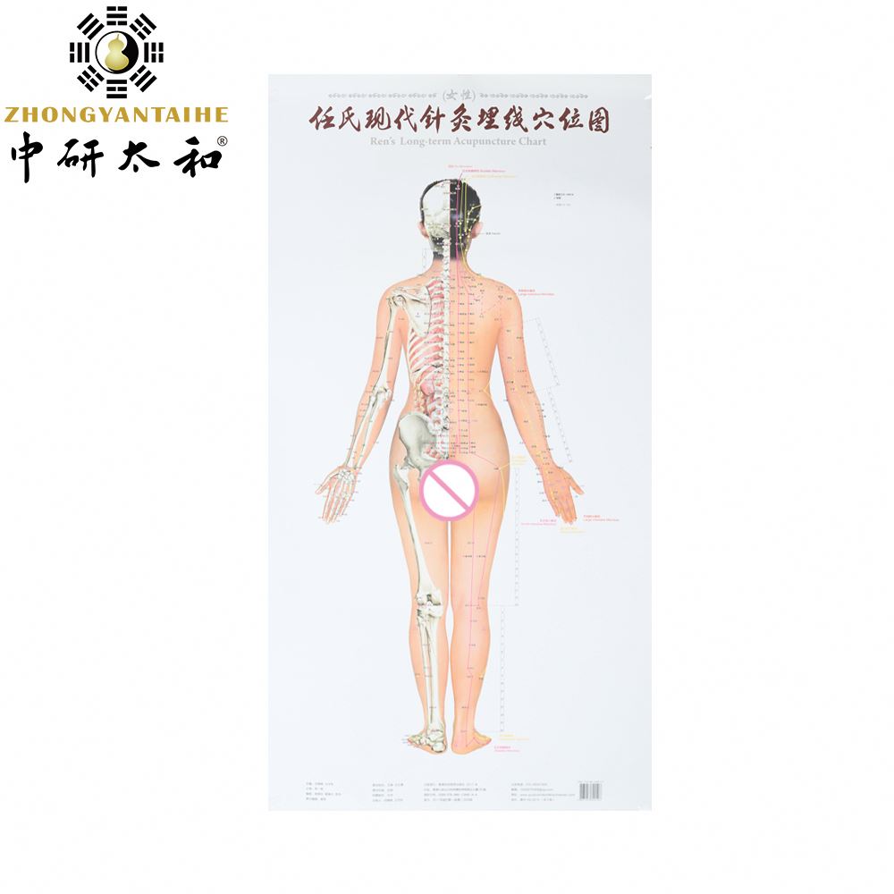 Body Meridian Acupuncture Culture Modern Acupuncture And Embedding Point
