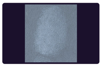 C205 BTDM-Ⅰ Vacuum coating fingerprint developing instrument