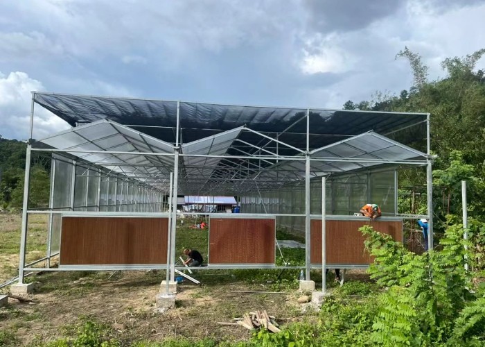 6x12 6x10 6x8 Large Venlo Type Polycarbonate Greenhouse Design With Galvanized Steel Structure