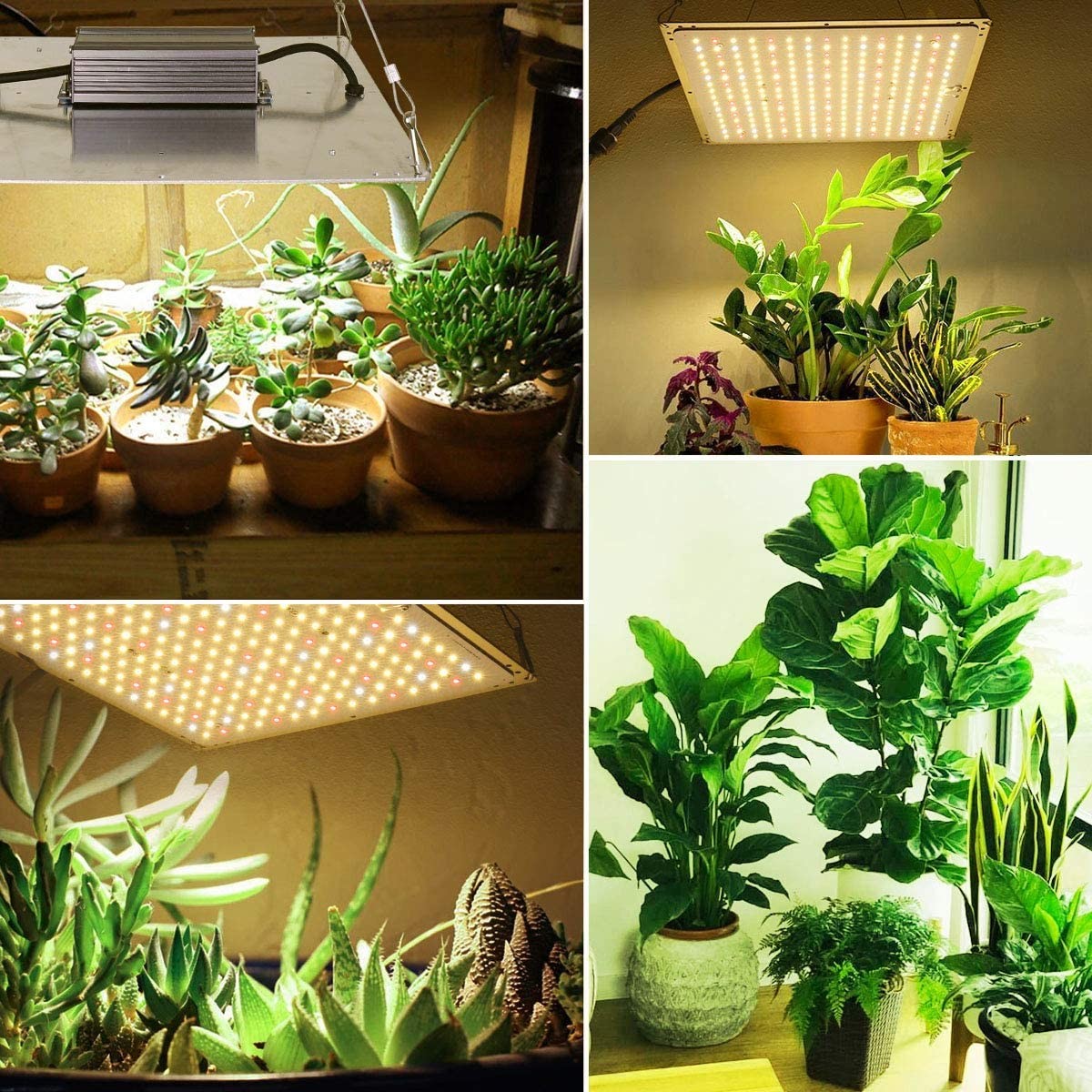 120W Samsung LM301H High PPFD Grow Light With Powerful Heatsink