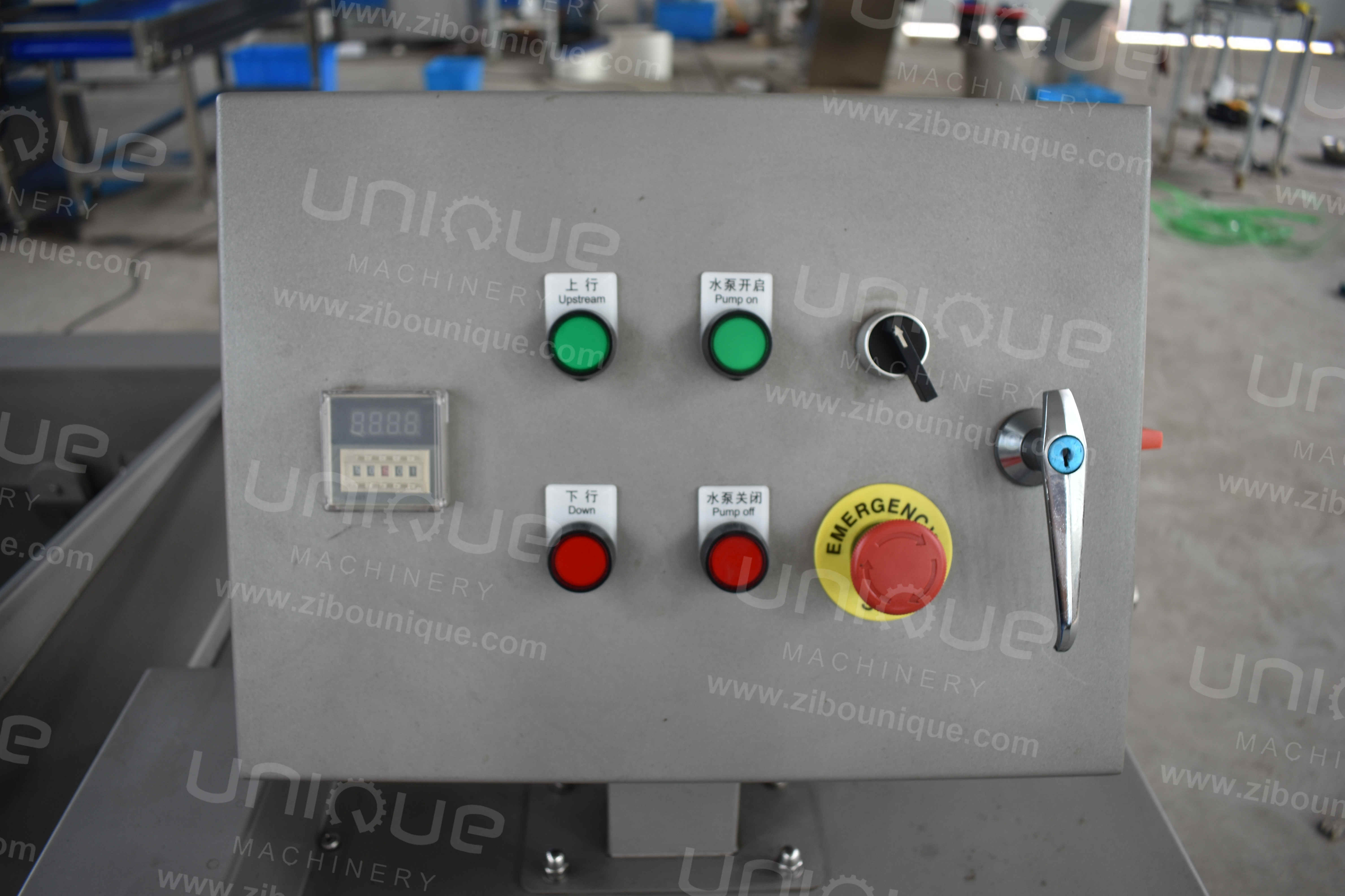 Commercial Kitchen 500 kg/h Sand Blasting Surface Fruit and Vegetable Washing Machine