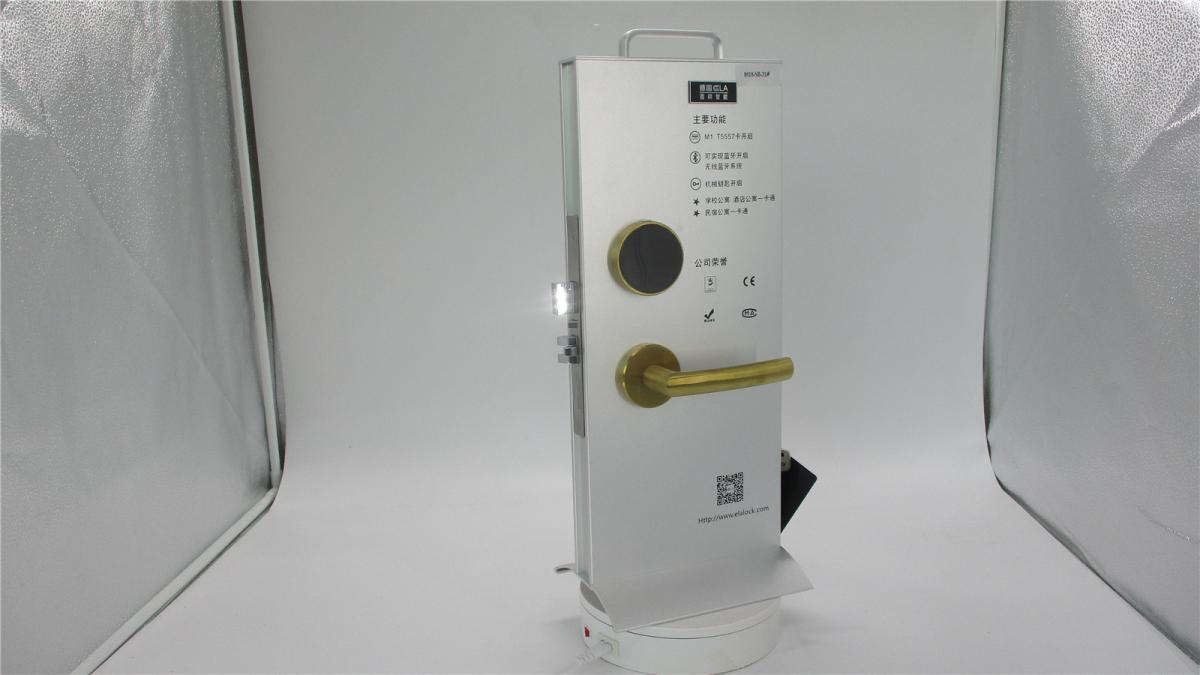 Home Tuya APP Smart Lock Sliding Wooden Door Lock Fingerprint