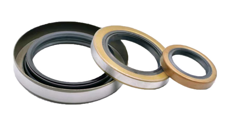 Rubber Car Mechanical FKM Oil Seals TB / SC / SB / TC TYPE