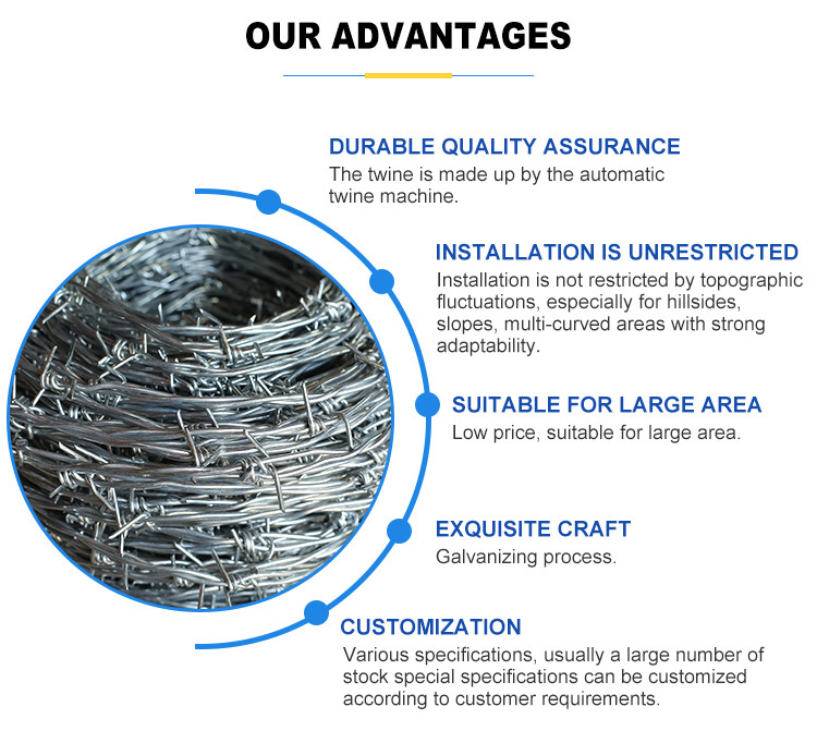 3 Strand Security Barbed Wire Single 14 Gauge Galvanized Fence Rolls Barbed Wire