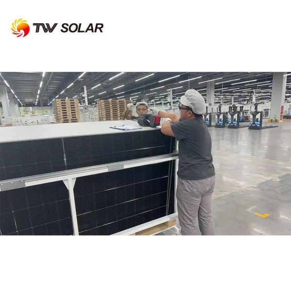 Tongwei Solar Panel 600w Tier 1 Solar Panel 600w 605w n Type Half Cell Bifacial Solar Panel 600W 605W 610W