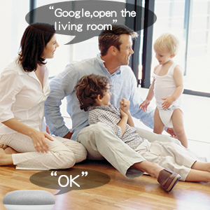 voice control