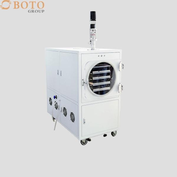 Home Lyophilization Homemade Food Freeze Dryer Household Vacuum Pump Freeze
