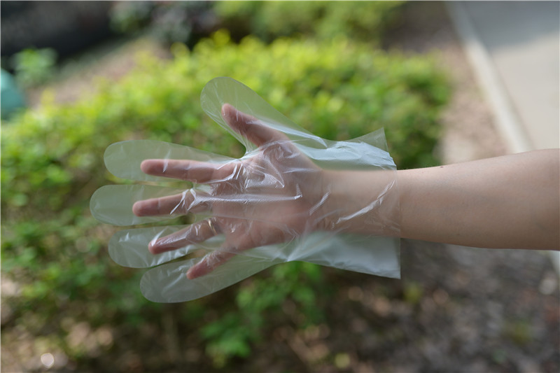 Food Handling Transparent 1.1g/Piece Disposable Hdpe Gloves