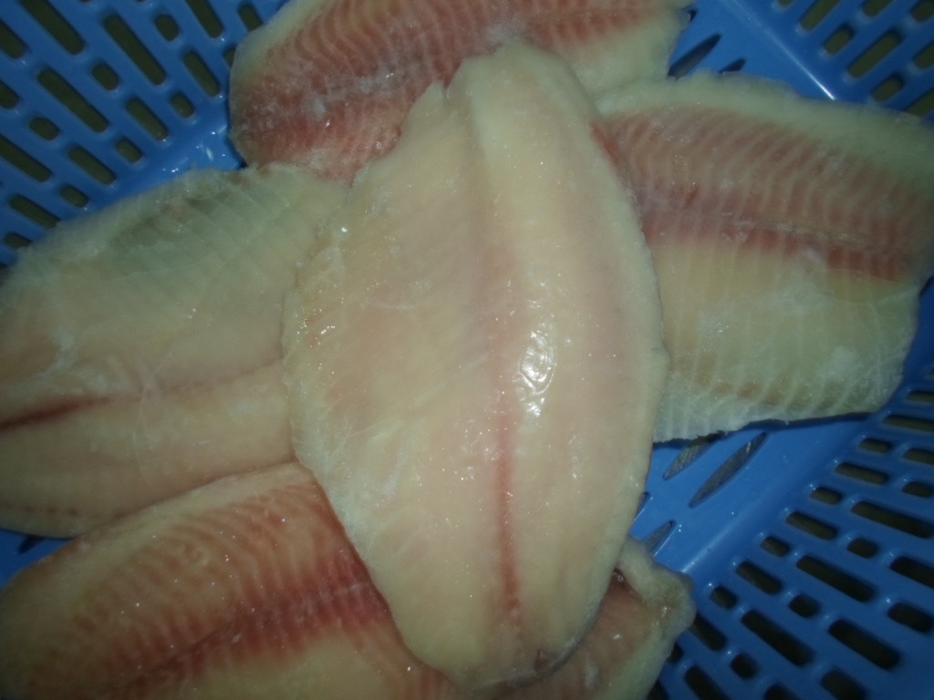 Thailand Origin Fresh Frozen Seafood / Bulk Frozen Fish Tilapia Fillet