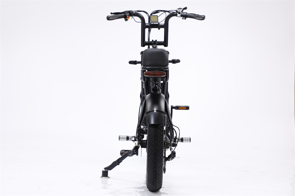 48V 750W Motor Electric Hybrid Bike Full Suspension 20 Inch Fat Tire Ebike 17Ah Battery