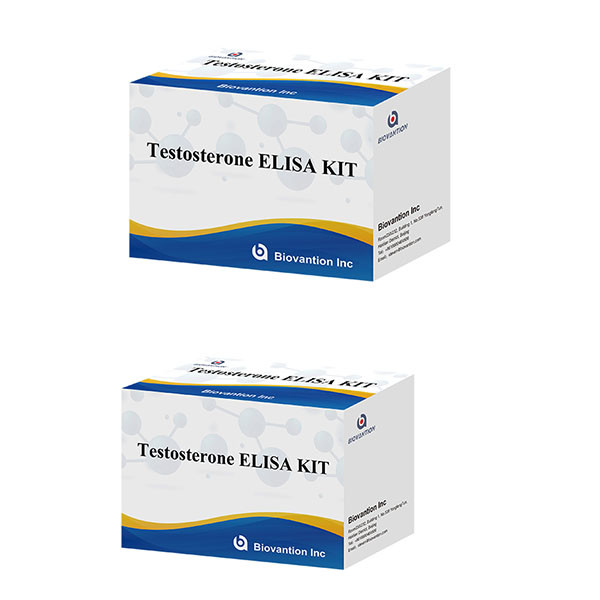 Male Sex Hormone Testosterone Hormone Quantitative Elisa Test Kit For Diagnose