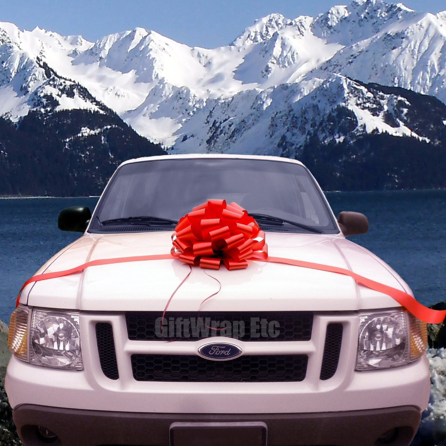 15“ large size wedding Pom Pom bow in thick PP or PET materials for decoration on a car