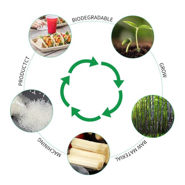 Thick Strong Paper Pulp TACO Box For Catering Food Packaging High Quality