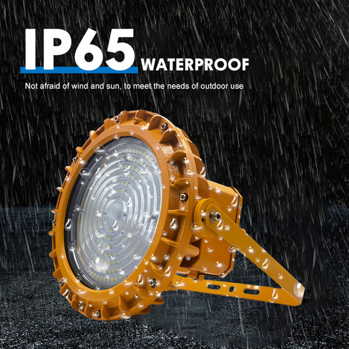 50W 100W 200W LED Ex Proof Flood Light For Oil And Gas Facilities