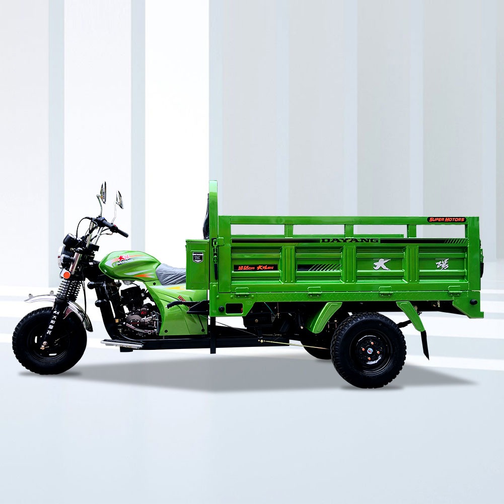 1000Kg Motorised Tricycle Three Wheel Cargo Motorcycle with 12V Electric and Kick Start
