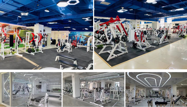 Spin Cycle Bike Fitness Home Use Indoor Exercise Spin Bike Sports Bicycle