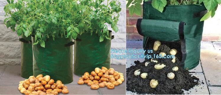 China factory supply irrigation system pe pipe price Ldpe pipe,25mm Garden irrigation PE pipe,Polyethylene PE Flexible P