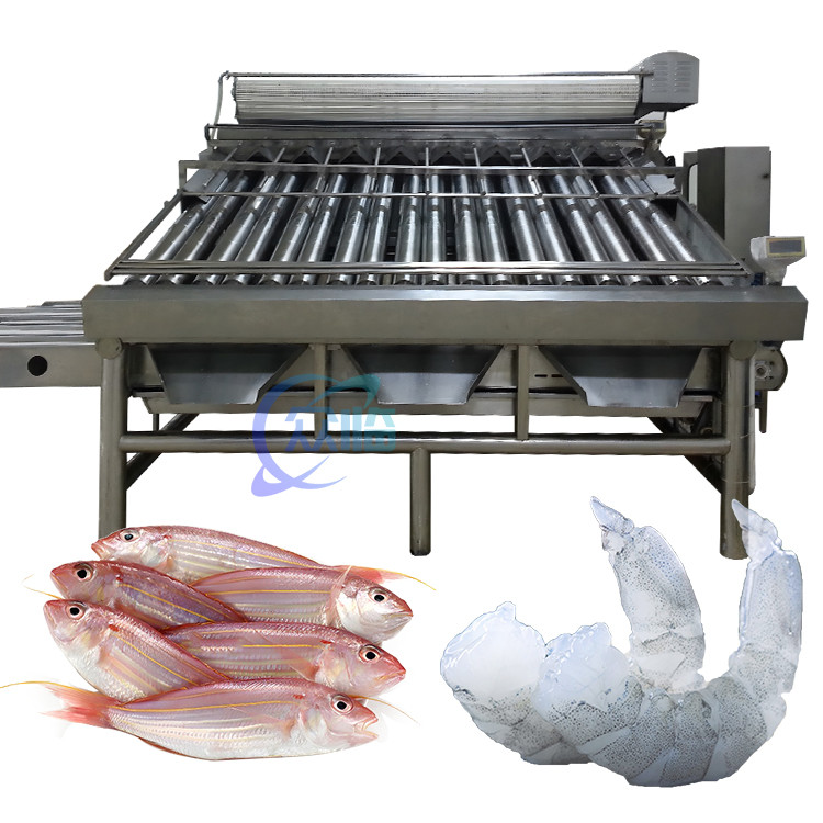 Practical Roller Fish Grader Machine , Multi Function Shrimp Sorter
