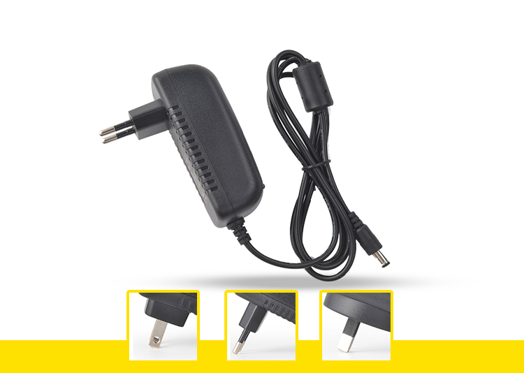 Plug In 24w Ac Switching Mode Power Supply Adaptor 50-60hz For Switching