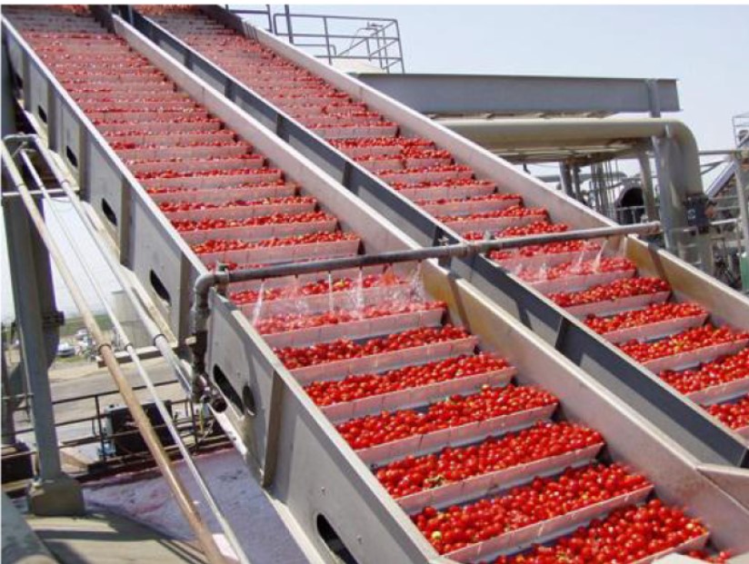 Customized Stainless Steel 304 316 Apple Juice Production Line 10ton Industrial Beverage Processing